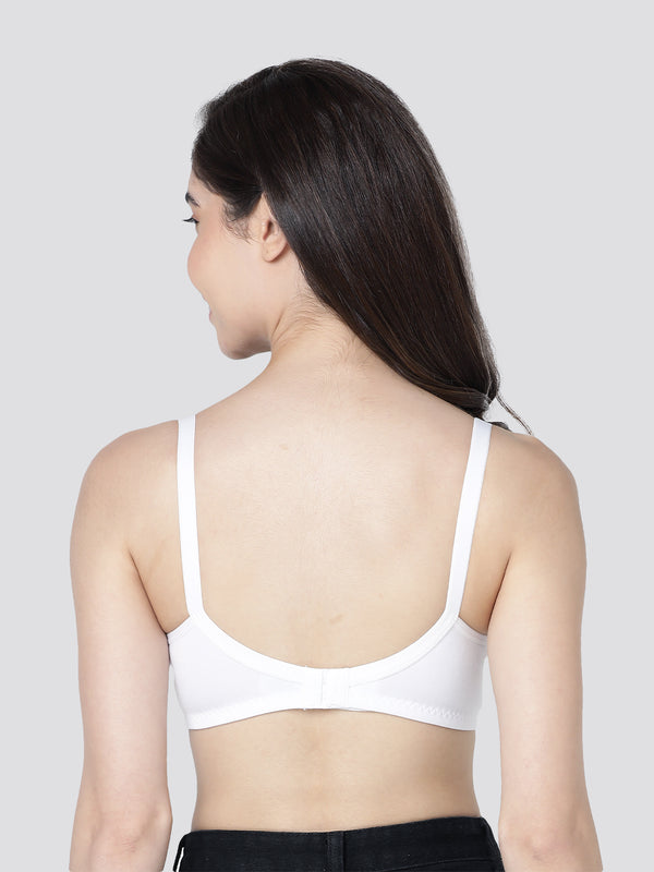 Evlyn Double Layered Cups Regular Bra | Pack of 3 | D.PEACH CAMEL WHITE