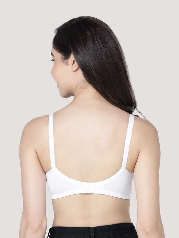 Evlyn Double Layered Cups Regular Bra | Pack of 3-ONION WHITE WINE