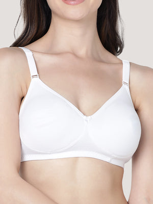 Evlyn Double Layered Cups Regular Bra | Pack of 3-WHITE WHITE WHITE