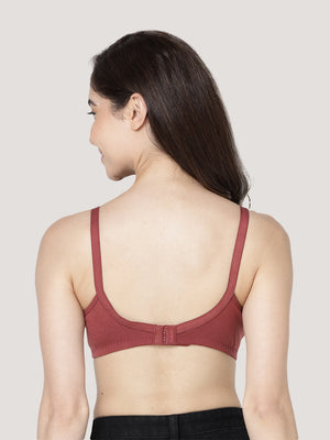 Evlyn Double Layered Cups Regular Bra | Pack of 3-WINE WINE WINE