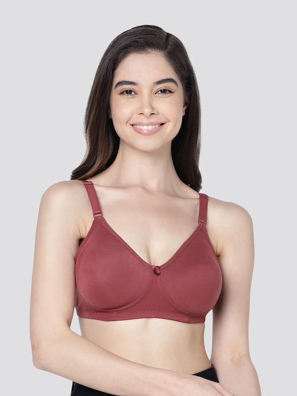 Evlyn Double Layered Cups Regular Bra | Pack of 3 | D.PEACH WHITE WINE