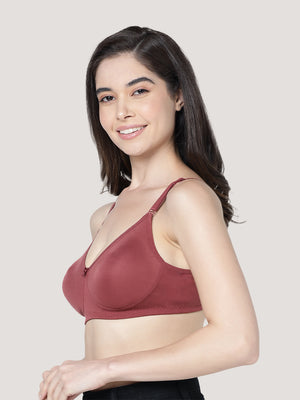 Evlyn Double Layered Cups Regular Bra | Pack of 3-ONION WHITE WINE