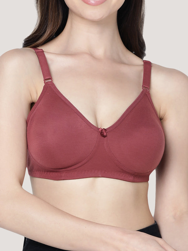 Evlyn Double Layered Cups Regular Bra | Pack of 3-WINE WINE WINE