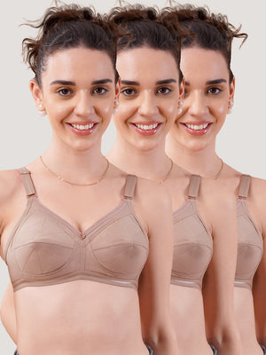 Damini Full Coverage Cotton Everyday Bra | Pack of 3-FAWN FAWN FAWN