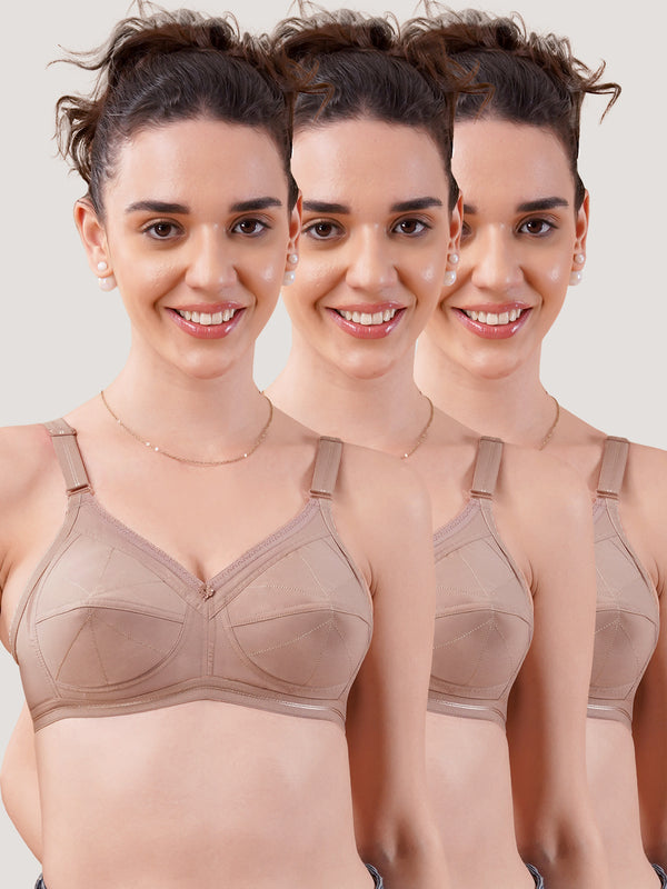 Damini Full Coverage Cotton Everyday Bra | Pack of 3-FAWN FAWN FAWN