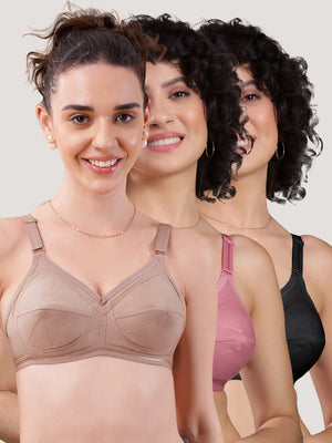Damini Full Coverage Cotton Everyday Bra | Pack of 3-FAWN ONION BLACK