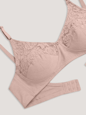 Deepali Non Padded Everyday Lace Bra | Pack of 3-FAWN FAWN FAWN