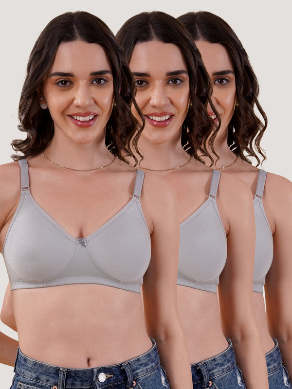 Evlyn Double Layered Cups Regular Bra | Pack of 3 | GREY GREY GREY