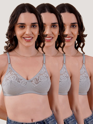 Deepali Non Padded Everyday Lace Bra | Pack of 3-GREY GREY GREY
