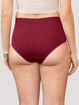 Isac High Waist Panties for Woman | Pack of 2-BLUE MAROON