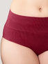 Kalyani Isac High Waist Tummy Control Panties for Woman | Pack of 2