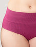 Kalyani Isac High Waist Tummy Control Panties for Woman | Pack of 2