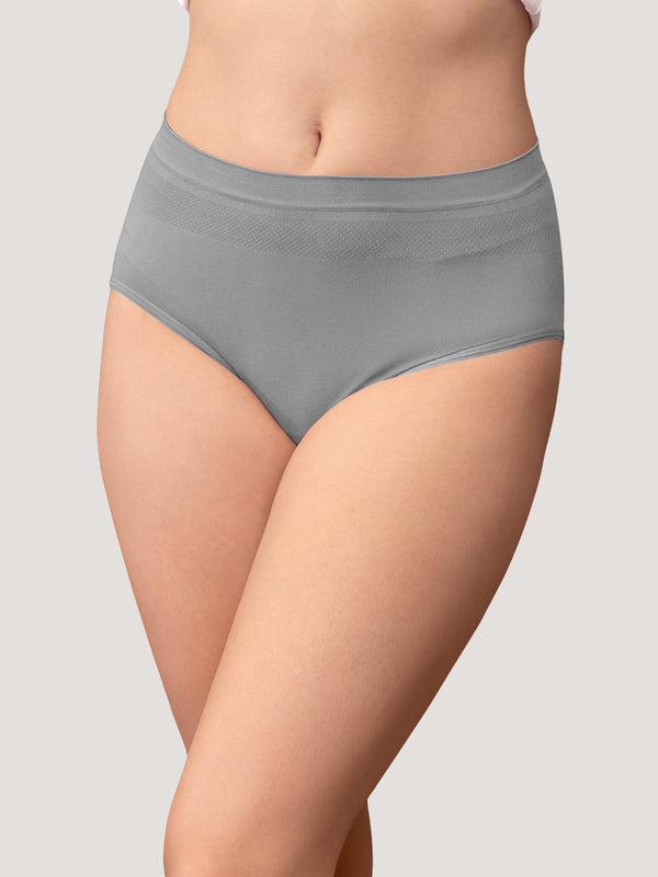 Kavya Women’s High Rise Full Coverage Knitted Hipster Panty with No-Roll Broad Inner Elastic Waistband Pack of 2| MAROON GREY