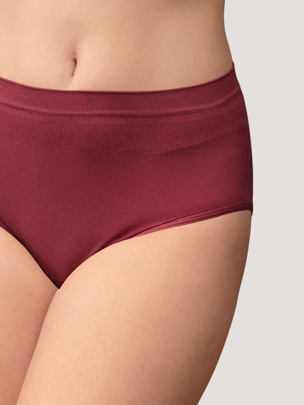 Kavya Women’s High Rise Full Coverage Knitted Hipster Panty with No-Roll Broad Inner Elastic Waistband Pack of 2| MAROON GREY