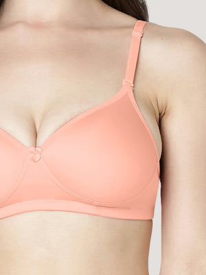 Maria Light Padded Fuller Cups Everyday Bra | Pack of 3-ORRS PEACH FAWN