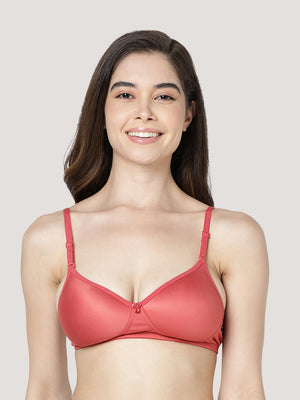 Maria Light Padded Fuller Cups Everyday Bra | Pack of 3-FAWN SKIN RUST 18