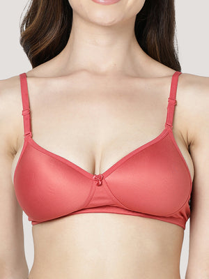 Maria Light Padded Fuller Cups Everyday Bra | Pack of 3-RUST 18 SKIN D.PINK