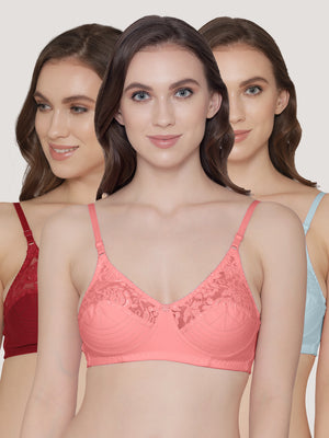 Deepali Non Padded Everyday Lace Bra | Pack of 3-MAROON ROSE SKY BLUE