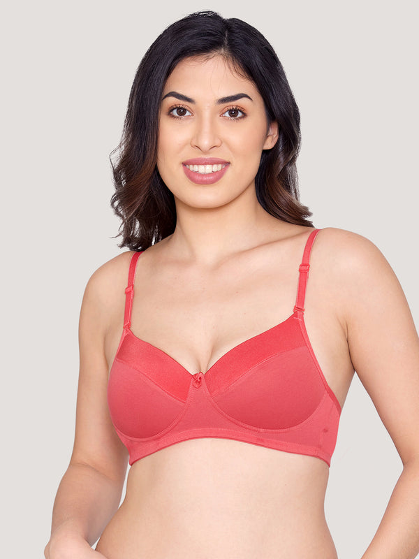 Kalyani Madee Everyday Comfort Elegant Satin Neckline Padded T-Shirt Bras | Pack of 2 | RUST RUST
