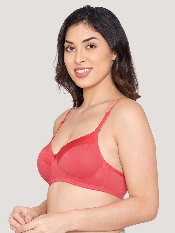 Kalyani Madee Everyday Comfort Elegant Satin Neckline Padded T-Shirt Bras | Pack of 2 | RUST RUST