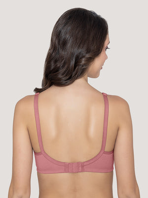 Martin Non-Padded Seamless Cups Moulded Bras with Cushioned Straps | Pack of 3 | WOOD ROSE WOOD ROSE WOOD ROSE