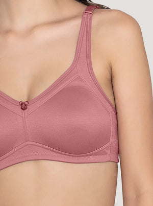 Martin Non-Padded Seamless Cups Moulded Bras with Cushioned Straps | Pack of 3 | WOOD ROSE WOOD ROSE WOOD ROSE
