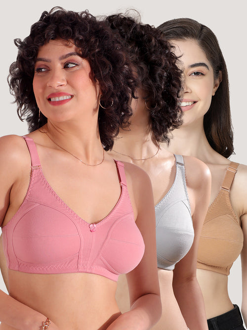 Anaya Full Coverage M Frame Minimizer Bra | Pack of 3-ONION CAMEL GREY