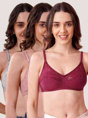 Deepali Non Padded Everyday Lace Bra | Pack of 3-ONION ROSEBUD GREY