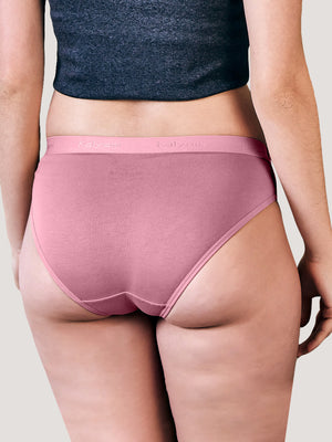 Sensa Low Waist Bikini Panties | Pack of 3-ASH ONION BURGUNDY