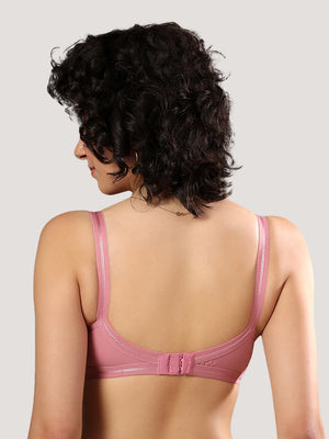 Damini Full Coverage Cotton Everyday Bra | Pack of 3-FAWN ONION BLACK