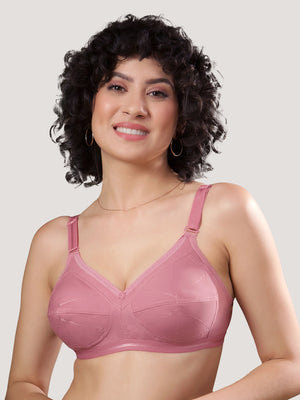 Damini Full Coverage Cotton Everyday Bra | Pack of 3-FAWN ONION BLACK
