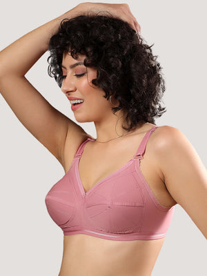 Damini Full Coverage Cotton Everyday Bra | Pack of 3-FAWN ONION BLACK