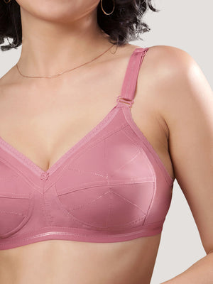 Damini Full Coverage Cotton Everyday Bra | Pack of 3-FAWN ONION BLACK