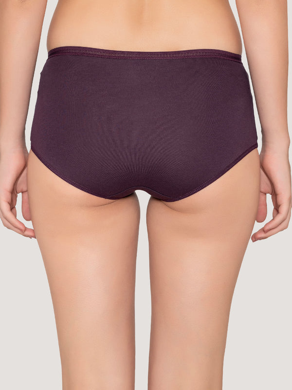 Orion High Coverage Hipster Panties | Pack of 3-RUST NUDE DARK VIOLET