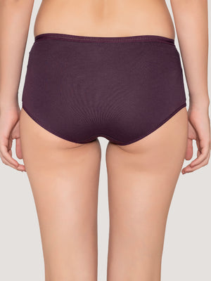 Orion High Coverage Hipster Panties | Pack of 3-DARK VIOLET DARK VIOLET DARK VIOLET