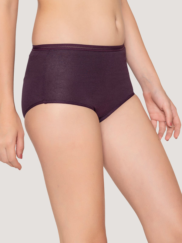 Orion High Coverage Hipster Panties | Pack of 3-RUST NUDE DARK VIOLET