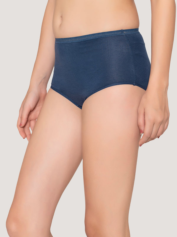 Orion High Coverage Hipster Panties | Pack of 3-RUST NUDE EVENING BLUE