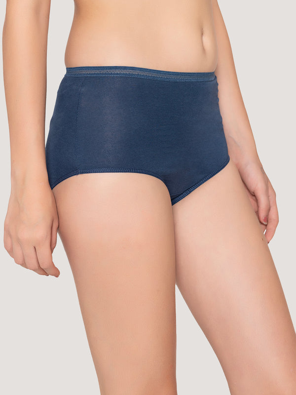 Orion High Coverage Hipster Panties | Pack of 3-RUST NUDE EVENING BLUE