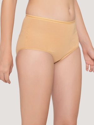 Orion High Coverage Hipster Panties | Pack of 3-RUST NUDE EVENING BLUE