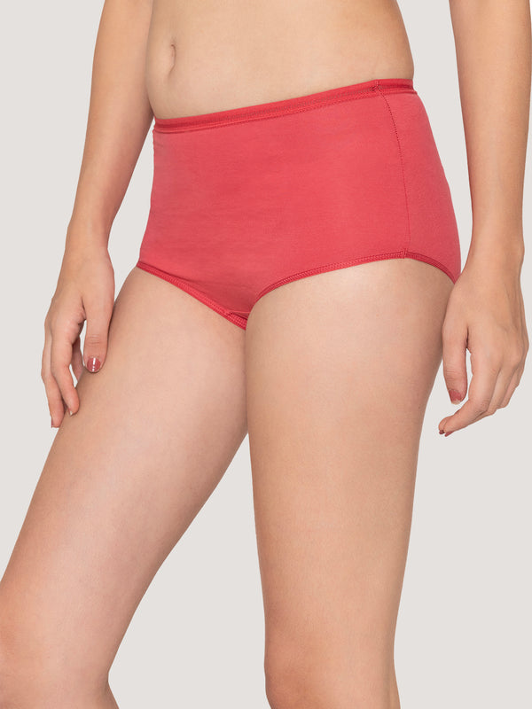 Orion High Coverage Hipster Panties | Pack of 3-RUST NUDE EVENING BLUE