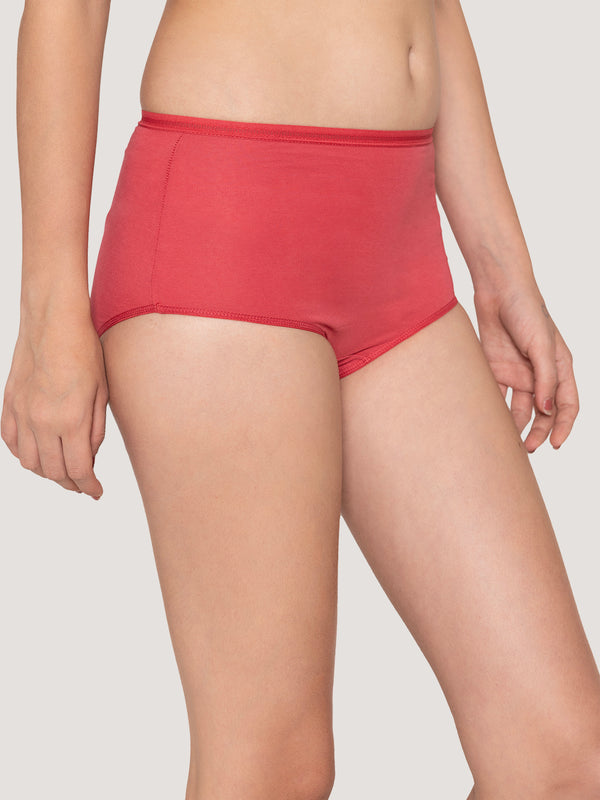 Orion High Coverage Hipster Panties | Pack of 3-RUST NUDE EVENING BLUE