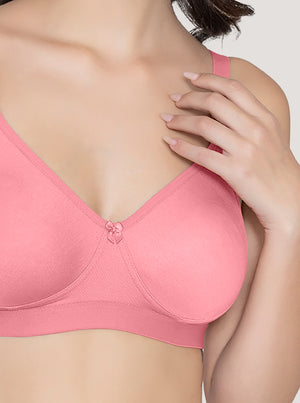 Kalyani Paloma Seamless Support Full Coverage Double Layered Bras | Pack of 2 | CORAL CORAL CORAL