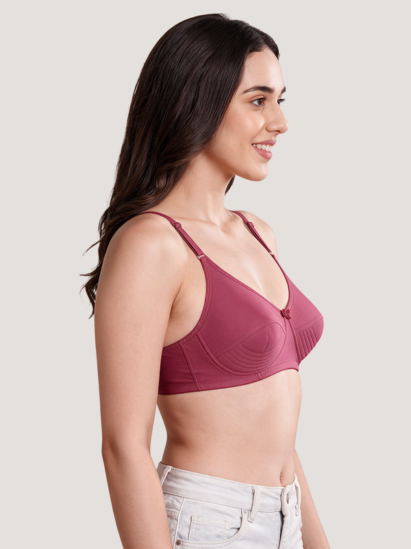 Pranika Non Padded Seamed Everyday Bra | Pack of 3-CAMEL WHITE ROSE BUD