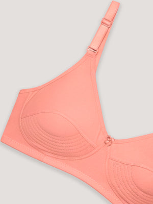 Pranika Non Padded Seamed Everyday Bra | Pack of 3 CREPE BLACK ROSE