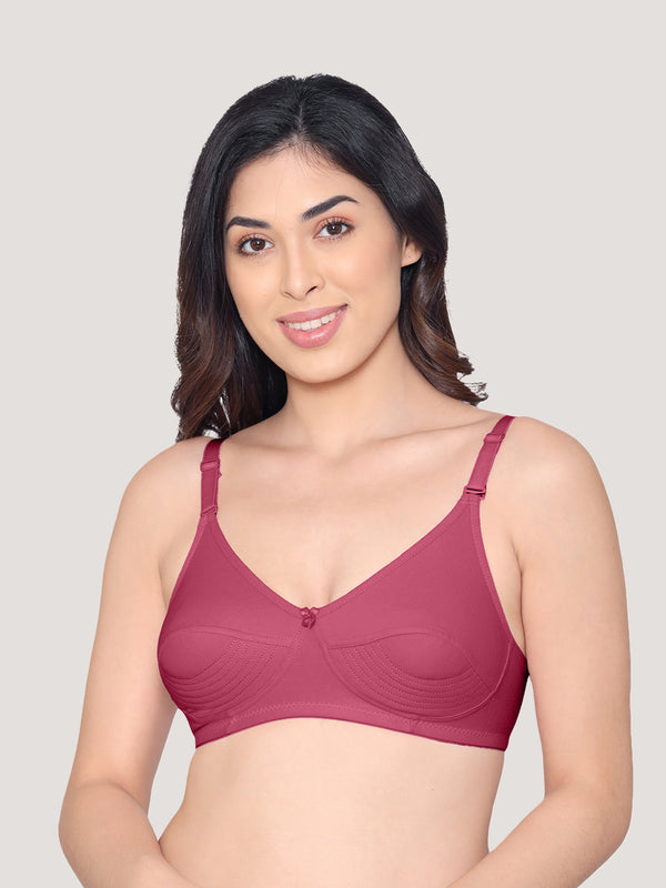 Pranika Non Padded Seamed Everyday Bra | Pack of 3-CAMEL WHITE ROSE BUD