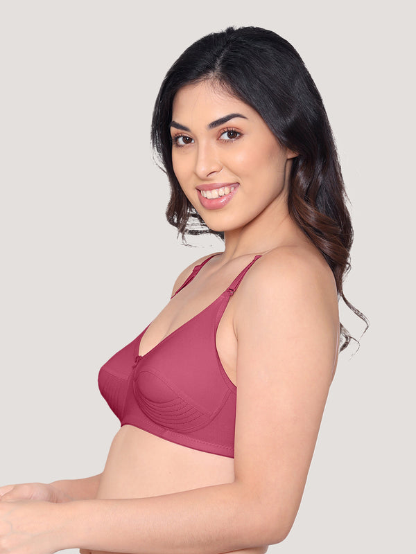 Pranika Non Padded Seamed Everyday Bra | Pack of 3 CREPE GREY ROSEBUD