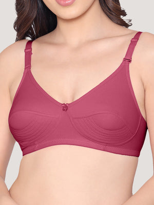 Pranika Non Padded Seamed Everyday Bra | Pack of 3-CAMEL WHITE ROSE BUD