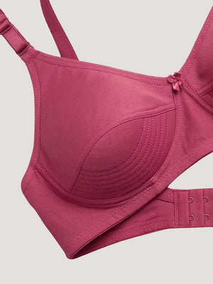 Pranika Non Padded Seamed Everyday Bra | Pack of 3 CREPE GREY ROSEBUD