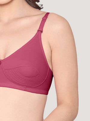Pranika Non Padded Seamed Everyday Bra | Pack of 3 L.PEACH CAMEL ROSEBUD