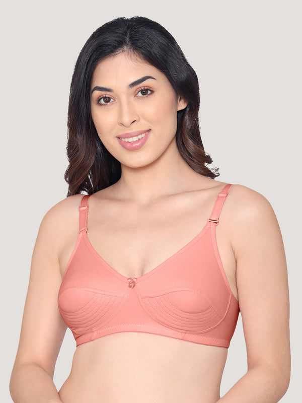 Pranika Non Padded Seamed Everyday Bra | Pack of 3 SKIN ROSE WHITE